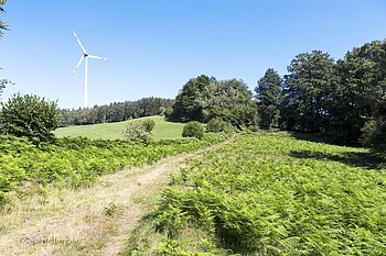 Wanderweg Windrad oberhalb der Prechtaler Schanze