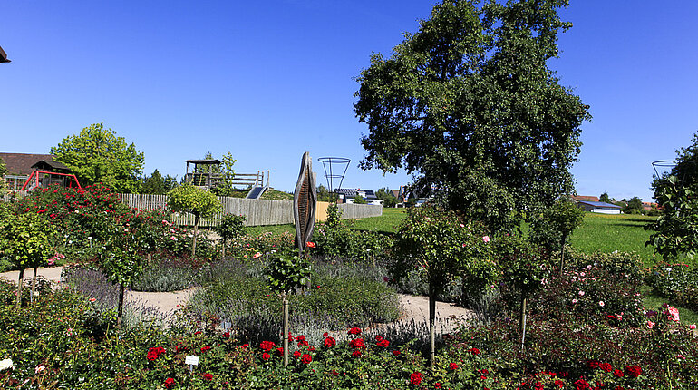 Rosensortimentsgarten in Nöggenschwiel