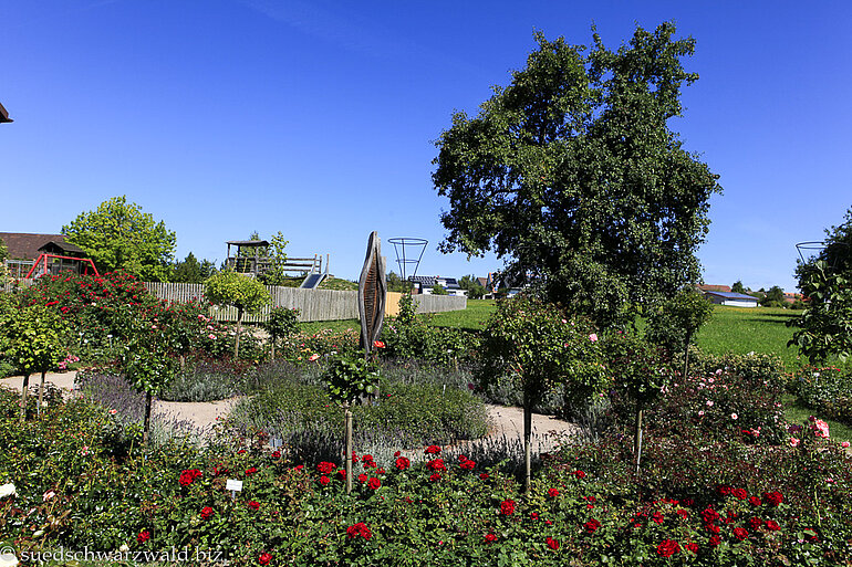 Rosensortimentsgarten in Nöggenschwiel