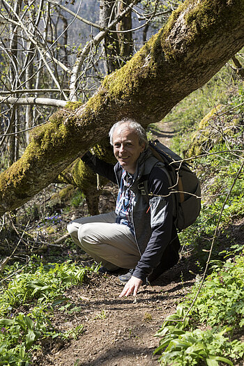 Hindernis auf dem Aichener Hutpfad