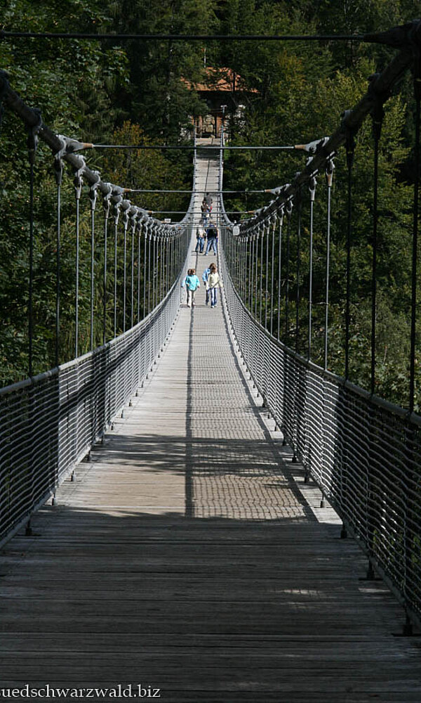 Hängeseilbrücke im Steinwasenpark