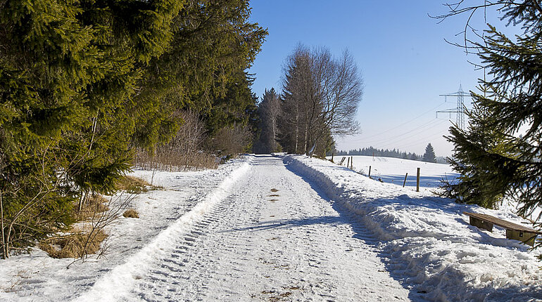 Schnee auf dem Mittelweg zwischen Bildstöckle und Rothaus