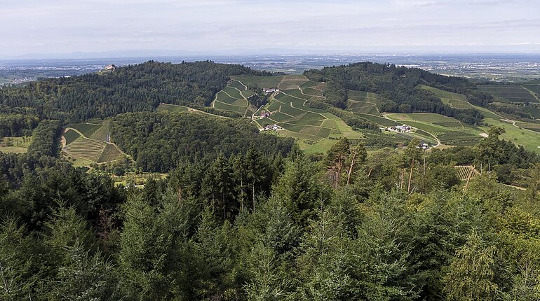 Aussicht vom Geigerskopf