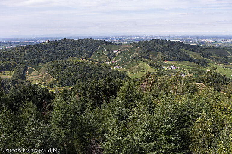Aussicht vom Geigerskopf