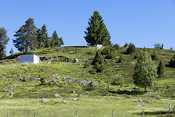 Blick hoch zur Panoramatafel von Dachsberg