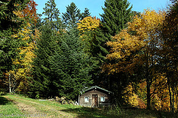 bei dieser Hütte verlassen wir den Wald oberhalb Lindau
