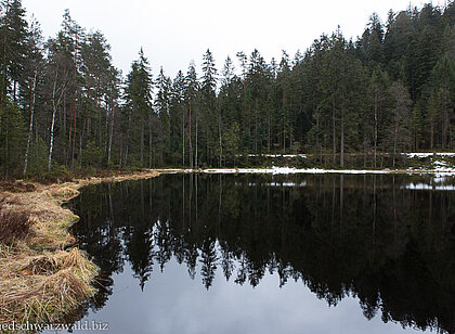 Wanderung an den Schurmsee