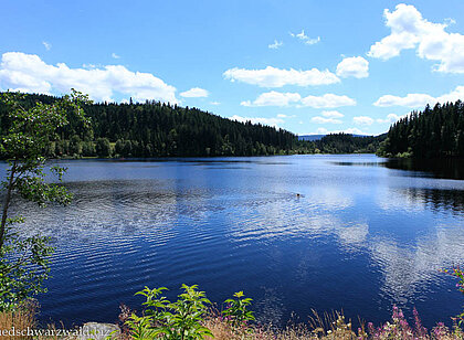 Windgfällweiher