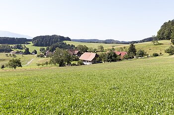Aussicht von der Kreuzeckle-Tour über Wiesen und Höhe