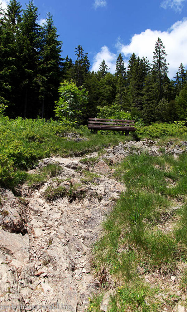 Wanderpfad bei Bernau im Schwarzwald