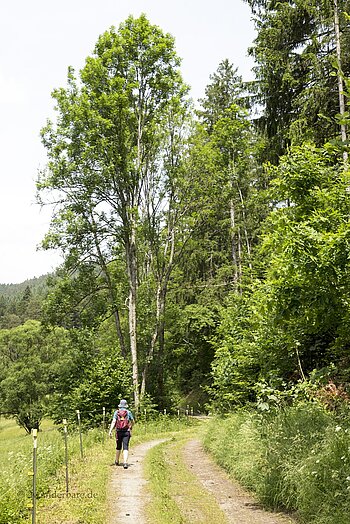 Wanderin Annette auf dem historischen Eisenbahnerweg bei Alpirsbach