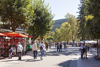 Fußgängerzone von Titisee