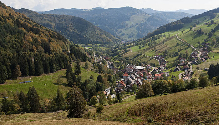 Wanderungen im Wiesental