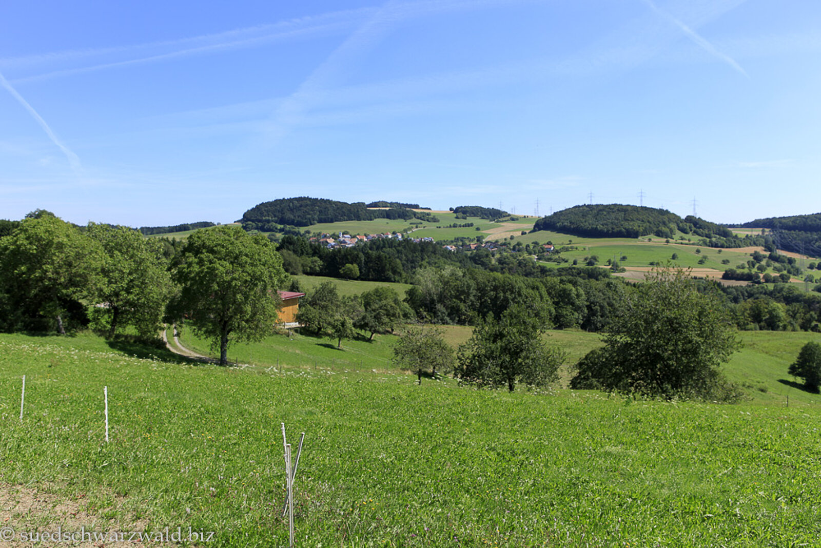 Aussicht vom Rosenwanderweg über die von Hügeln geprägte Landschaft bei Nöggenschwiel
