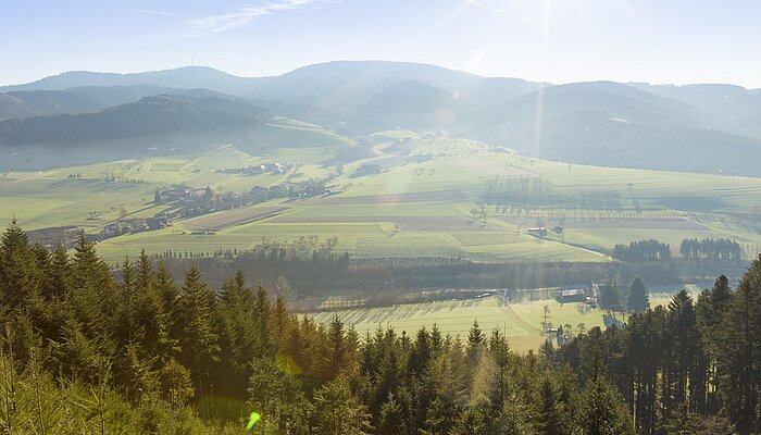 sonnig-diesige Aussicht über das Harmersbachtal zum Brandenkopf
