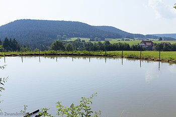 Blick über einen Weiher bei Sulzbach im Mittleren Schwarzwald