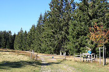 Wanderweg zwischen Wittemle und Althütte