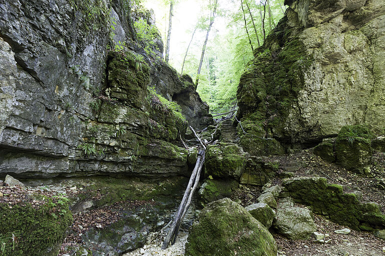 Oberer Abschnitt der Wolfsschlucht