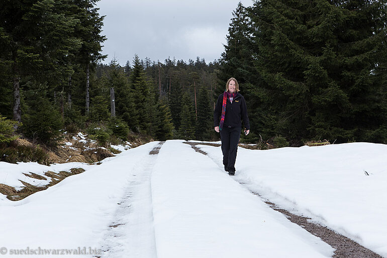 Wanderung auf die Schurmhöhe