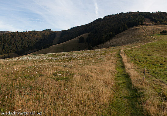 Wanderung auf dem Hochtalsteig | Wanderkarte Bernau