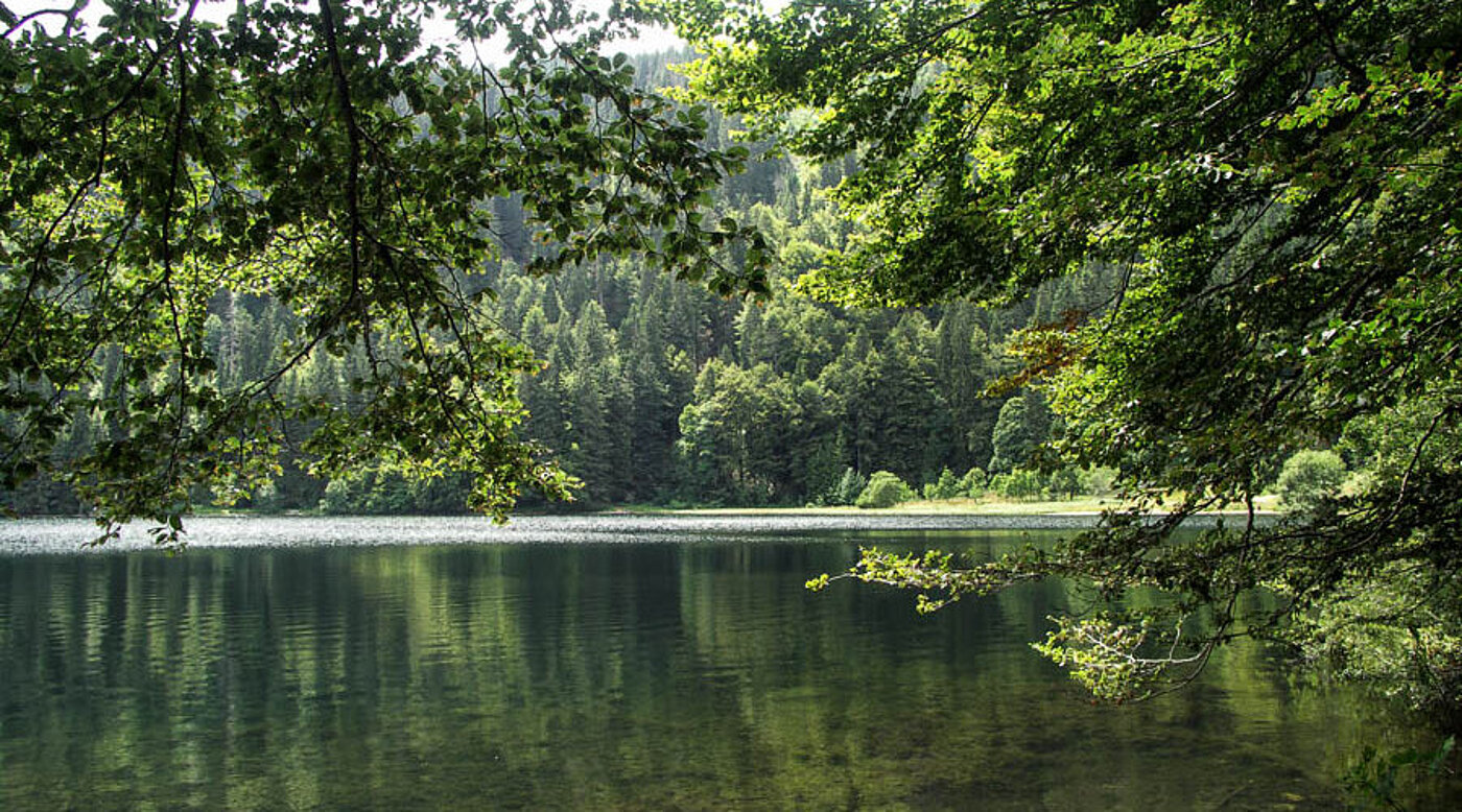 Karsee Feldsee am Feldberg