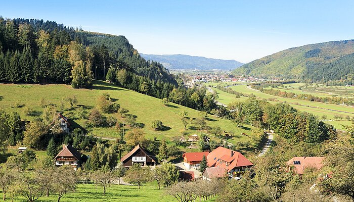 Aussicht über die Wiesen und Hügel bei Haslach im Kinzigtal