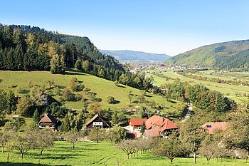 Aussicht von der Sommerhalde bei Haslach über das Kinzigtal