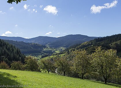 Wanderung auf dem Peterstaler Schwarzwaldsteig
