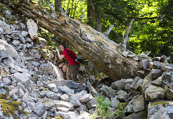 Wanderung Rappenfelsensteig