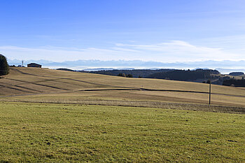 Alpenpanorama bei Herrischried