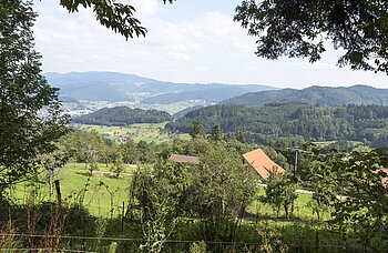 Aussicht vom Schlossberg über das Kinzigtal zu mehreren bewaldeten Hügeln