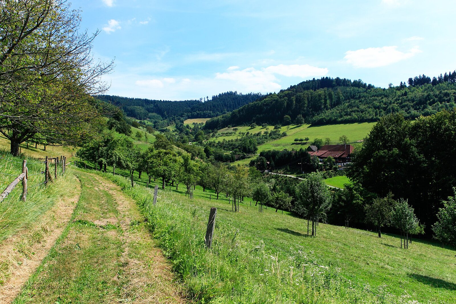idyllischer Wanderweg bei Nordrach im Schwarzwald