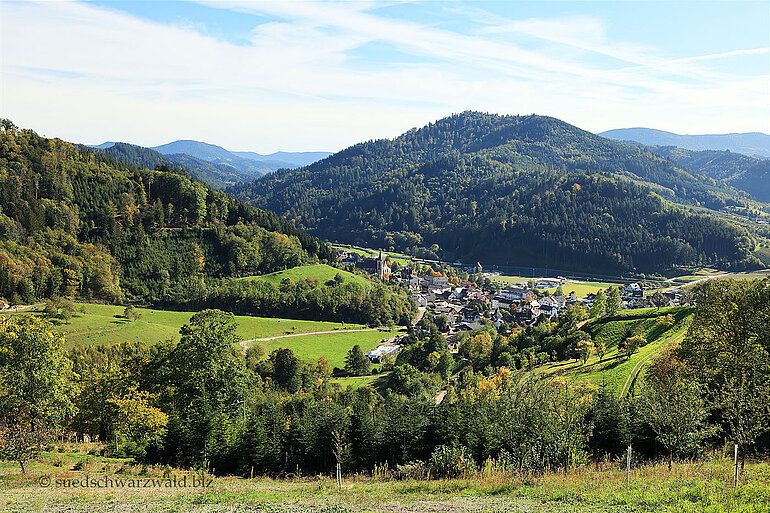 Aussicht über Lautenbach im Renchtal