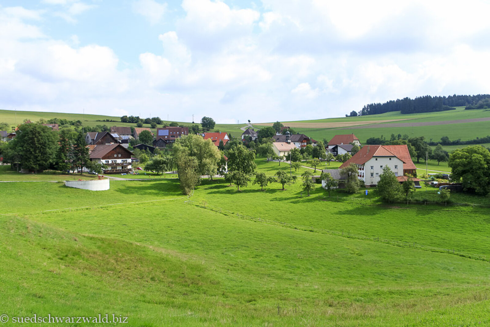 Sicht über grüne Wiesen auf Wittlekofen nahe Bonndorf im Schwarzwald