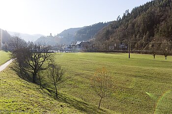 Wiesen im Gutachtal