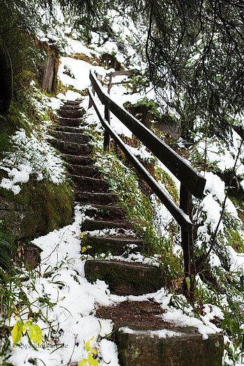 schneebedeckter Teufelskanzelweg unterhalb der Lettstädter Höhe im Winter