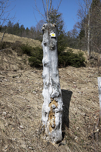 Wegweiser zwischen Bernau und der Gisibodenalm