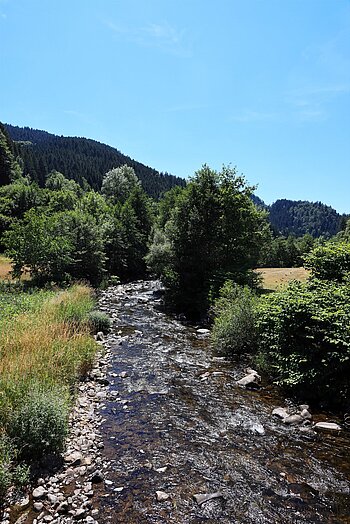 Blick auf den Fluss Wolf bei Oberwolfach-Walke