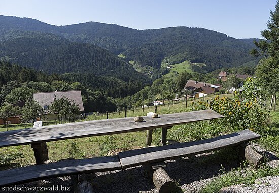 Aussicht über den himmlischen Rastplatz am Himmelssteig bei Bad Peterstal