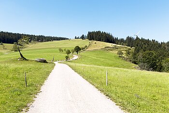 Wanderweg zwischen dem Siebenfelsen und dem Gasthaus Schwedenschanze