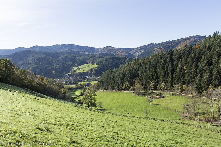 Blick vom Steinadesbühl Richtung oberes Gutachtal
