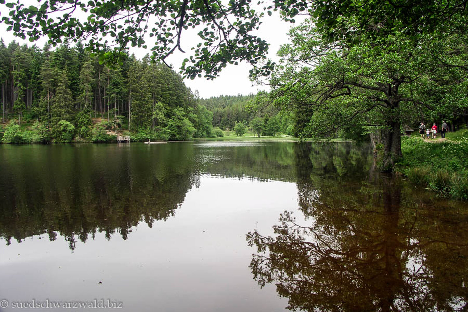 Blick auf den Schlüchtsee bei Grafenhausen im Südschwarzwald