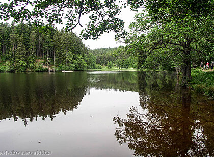 Wanderung vom Steinatal zum Schlüchtsee