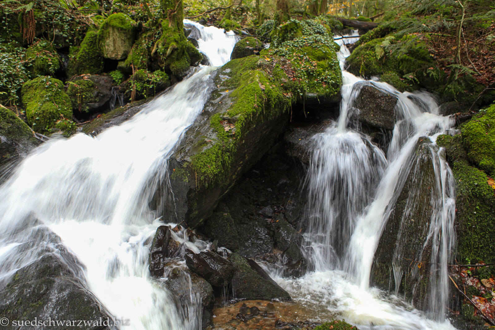 Wild rauschendes Wasser der Lehenbachwasserfälle bei Wieladingen im Hotzenwald