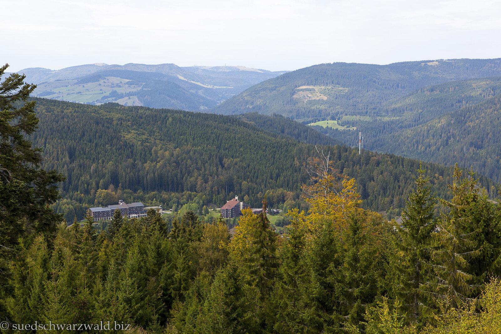 Aussicht vom Lehenkopfturm über die Wälder und Berge im Hotzenwald