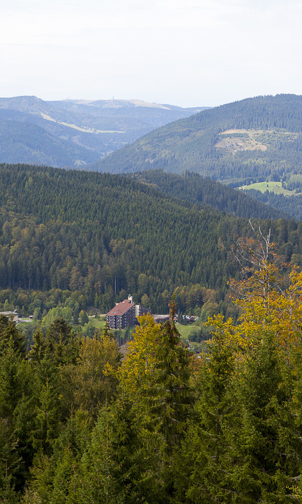 Aussicht vom Lehenkopfturm