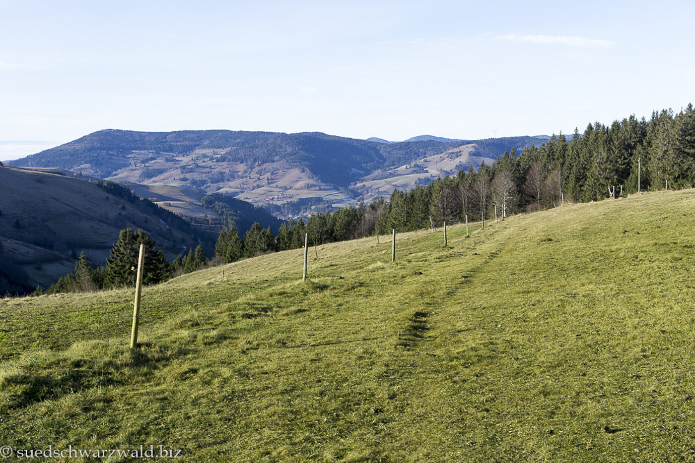 Aussicht beim Schneckenkopf zum Wiesental