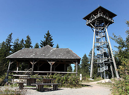 Zum Riesenbühl-Turm