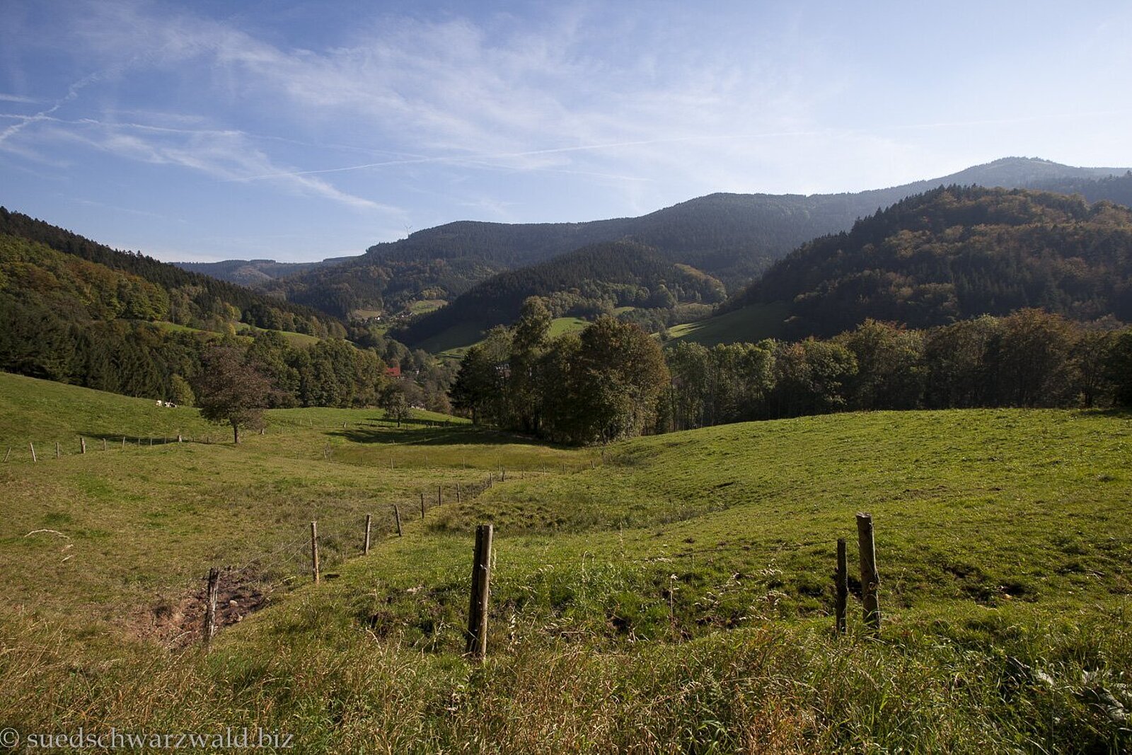 Von Wiesen und Wäldern geprägte Hügellandschaft am Wiesensteig im Renchtal