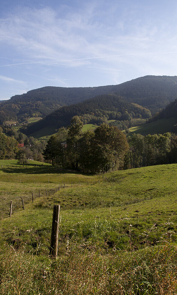 Premiumwanderweg Wiesensteig
